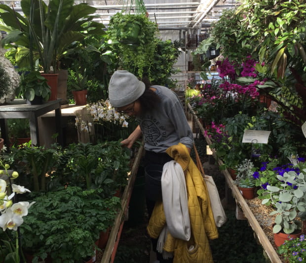 A picture of a woman in a greenhouse shopping for plants.